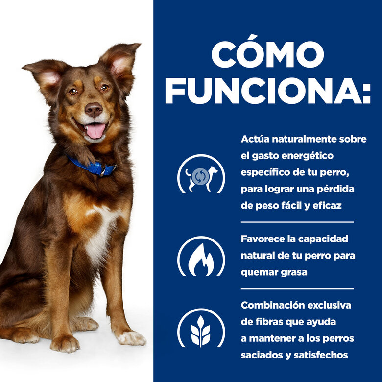 Hill's Prescription Diet Metabolic Pollo lata para perros, , large image number null